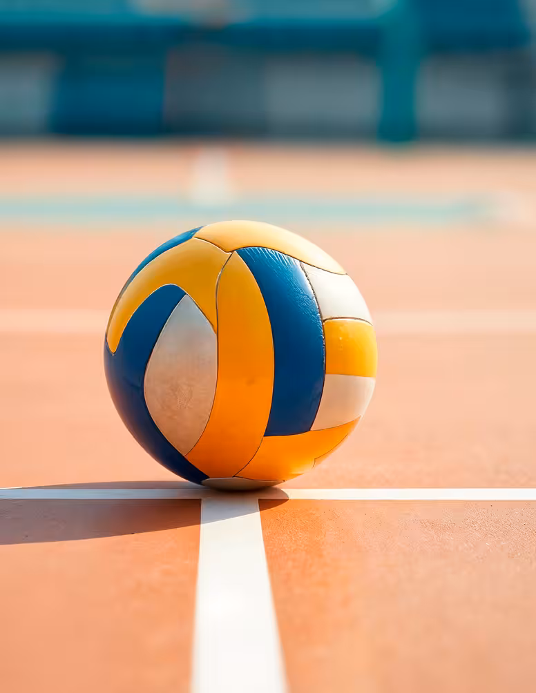 Volleyball